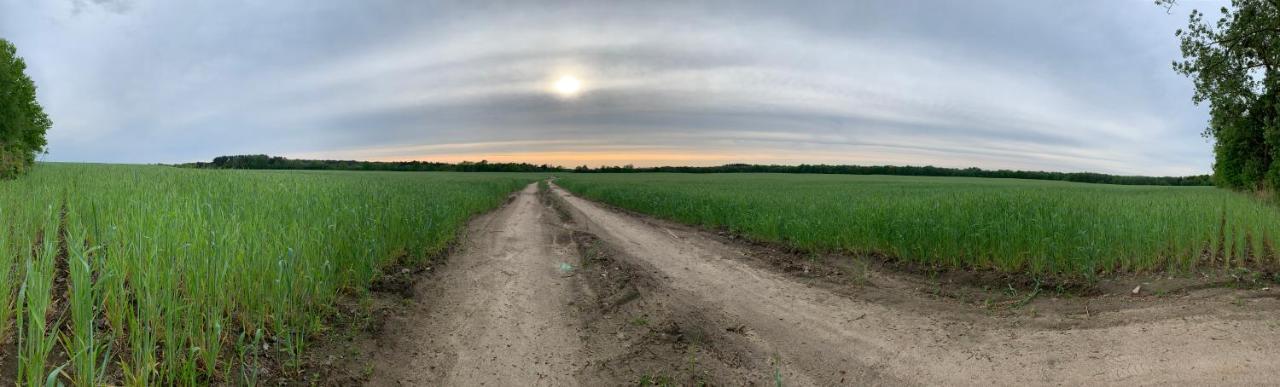 Dom Nad Jeziorem Gaja House Jadamowo Екстер'єр фото